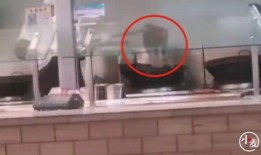 网友爆料食堂视频在线观看,视频揭秘校园食堂美食与卫生