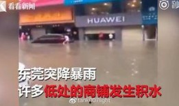 新城网红店爆料事件视频,真相与争议并存