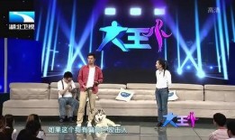 娱乐爆料现场,明星幕后故事大揭秘