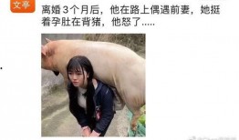 吃瓜离谱博主小说免费阅读,揭秘娱乐圈背后的秘密，免费小说阅读大放送！