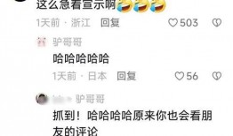 网红吃瓜评论区,热议不断，笑料百出