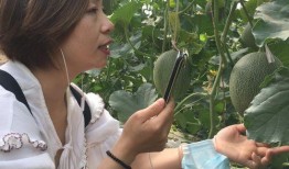 吃瓜小熊网红叫什么名字,揭秘网红界的“瓜王”传奇