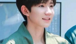 王俊凯王源圈内人爆料,圈内人爆料背后的真实故事