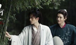 娱乐圈双男主被爆料,真相与谣言的交织