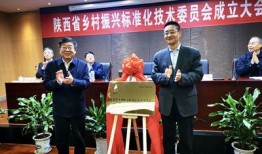 陕西爆料最新新闻事件,神秘事件引发社会关注