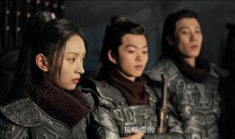 紫川电视剧在线观看,穿越时空的荣耀传奇，在线观看，重温经典