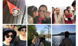 圈内爆料张柏芝黄景瑜,娱乐圈新恋情引热议