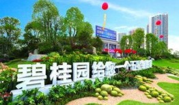 龙南碧桂园爆料最新消息,揭秘项目最新进展与亮点