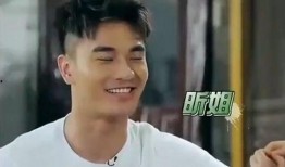 郑凯家庭爆料视频大全,温馨瞬间与幕后故事