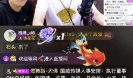 雨神爆料利哥视频播放,视频播放背后的故事与真相