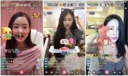 娱乐主播大爆料有哪些,大爆料背后的惊人真相