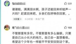 爆料致远中学事件视频,真相与争议交织