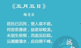 热点爆料视频绝美古诗词,穿越时空的美丽邂逅