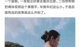 呆呆的爆料视频大全集,揭秘幕后真相，笑料百出