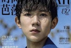王俊凯王源圈内人爆料,圈内人爆料背后的真实故事