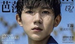 王俊凯王源圈内人爆料,圈内人爆料背后的真实故事