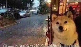 娱乐圈双男主被爆料,真相与谣言的交织