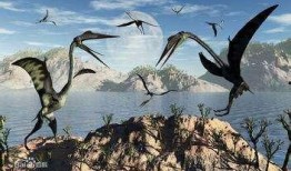 风神翼龙最新爆料视频,揭秘神秘生物的进化之谜