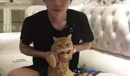 王源吃娱乐圈瓜