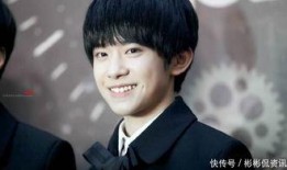 王俊凯王源圈内人爆料,圈内人爆料背后的真实故事