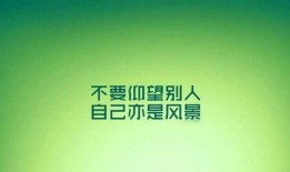 励志新闻爆料大全最新
