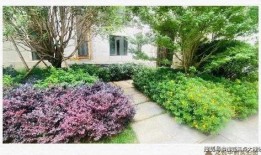 龙悦华府最新爆料消息,揭秘神秘豪宅背后的惊人真相