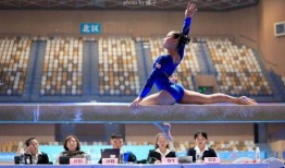 冠军爆料体操视频完整版,体操视频完整版幕后故事与精彩瞬间
