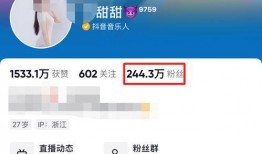 网红自我爆料视频下载安装,下载安装背后的故事