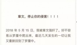 爆料娱乐圈文稿,揭秘明星背后的故事