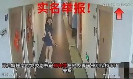 南京女子出轨爆料视频播放,一场婚外情的网络风暴