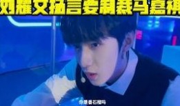 刘耀文粉丝爆料视频大全,揭秘偶像幕后故事