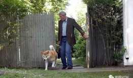 忠犬八公的故事在线观看,永恒的等待与忠诚的守护