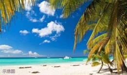 海南海边最新消息爆料,神秘海岛发现珍稀生物，旅游胜地再掀热潮