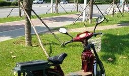 大连电动车爆料事件最新,揭露行业乱象，消费者权益如何保障？