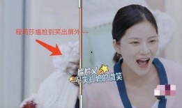 杜淳王灿圈内爆料是真的吗