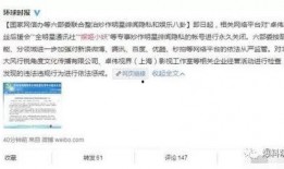 爆料整治娱乐圈,娱乐圈爆料整治风暴来袭