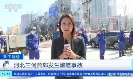 白姓记者爆料视频大全集,视频大全集深度解析