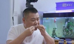 岳云鹏爆料沙溢视频合集,视频合集笑料十足