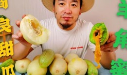 网红吃瓜评论区,热议不断，笑料百出