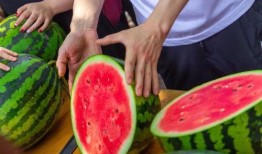 吃瓜免费资源,解锁海量资源，畅享娱乐新体验