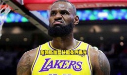 詹姆斯快船爆料视频完整版,揭秘球队内幕与精彩瞬间