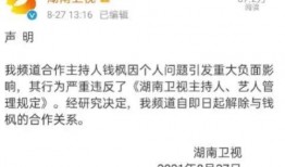 爆料整治娱乐圈,娱乐圈爆料整治风暴来袭