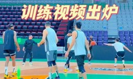 赵继伟爆料视频,篮球场上的幕后故事与心路历程