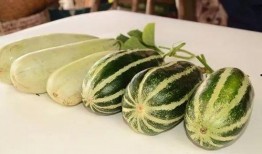 网红吃不瓜,揭秘美食界的“吃瓜群众”