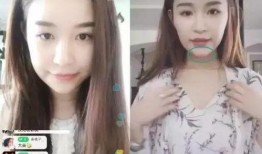 网红雪梨爆料事件视频播放,揭秘背后真相