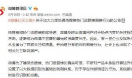 网上很火的视频爆料有哪些,真相与争议并存