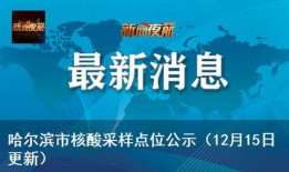 新闻夜航爆料方式,揭秘事件背后惊人真相