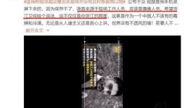 疑似水神爆料的视频,神秘事件背后真相揭晓