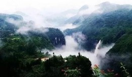 峡谷新闻大爆料是真的吗,真相揭秘，事件始末全解析