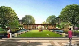 博林首府最新爆料消息视频,揭秘神秘项目背后的惊人真相！